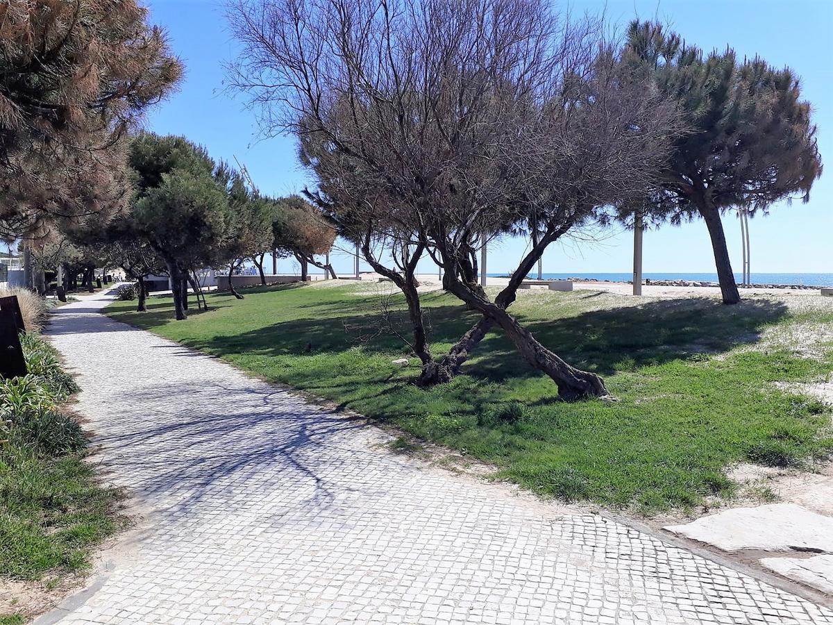 Avenida Mar- Vista Mar, Wifi, 150Mt Praia كوارتيرا المظهر الخارجي الصورة
